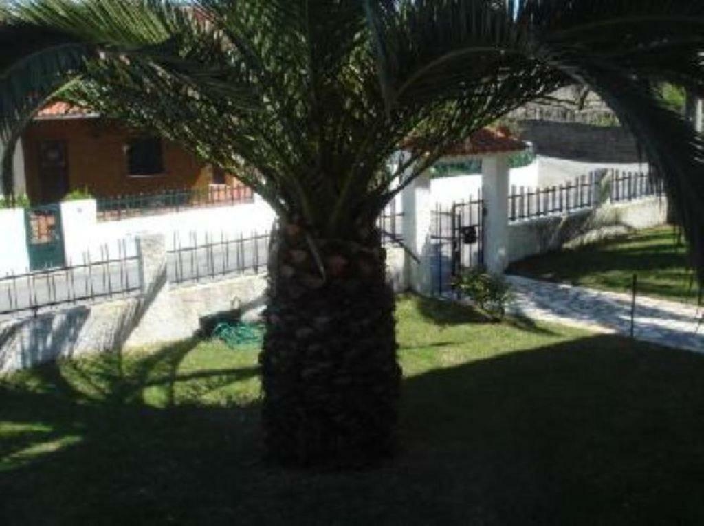 Vivenda Atlantico Hotel Vila Praia de Ancora Ngoại thất bức ảnh
